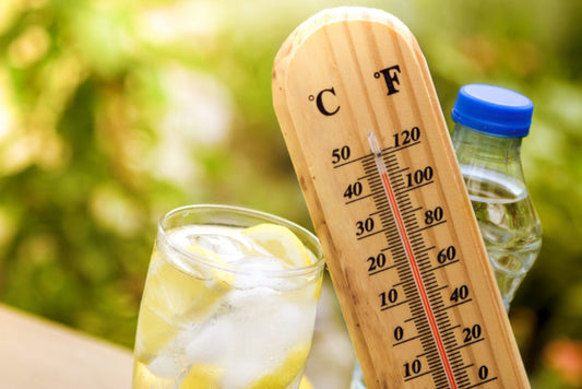 Beat the Summer Heat; How to Stay Hydrated in the Summer