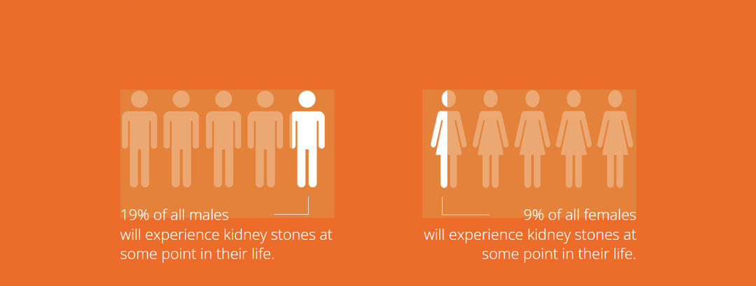 Infographic on kidney stone statistics for males and females on an orange background